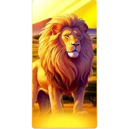 Lion
Safari